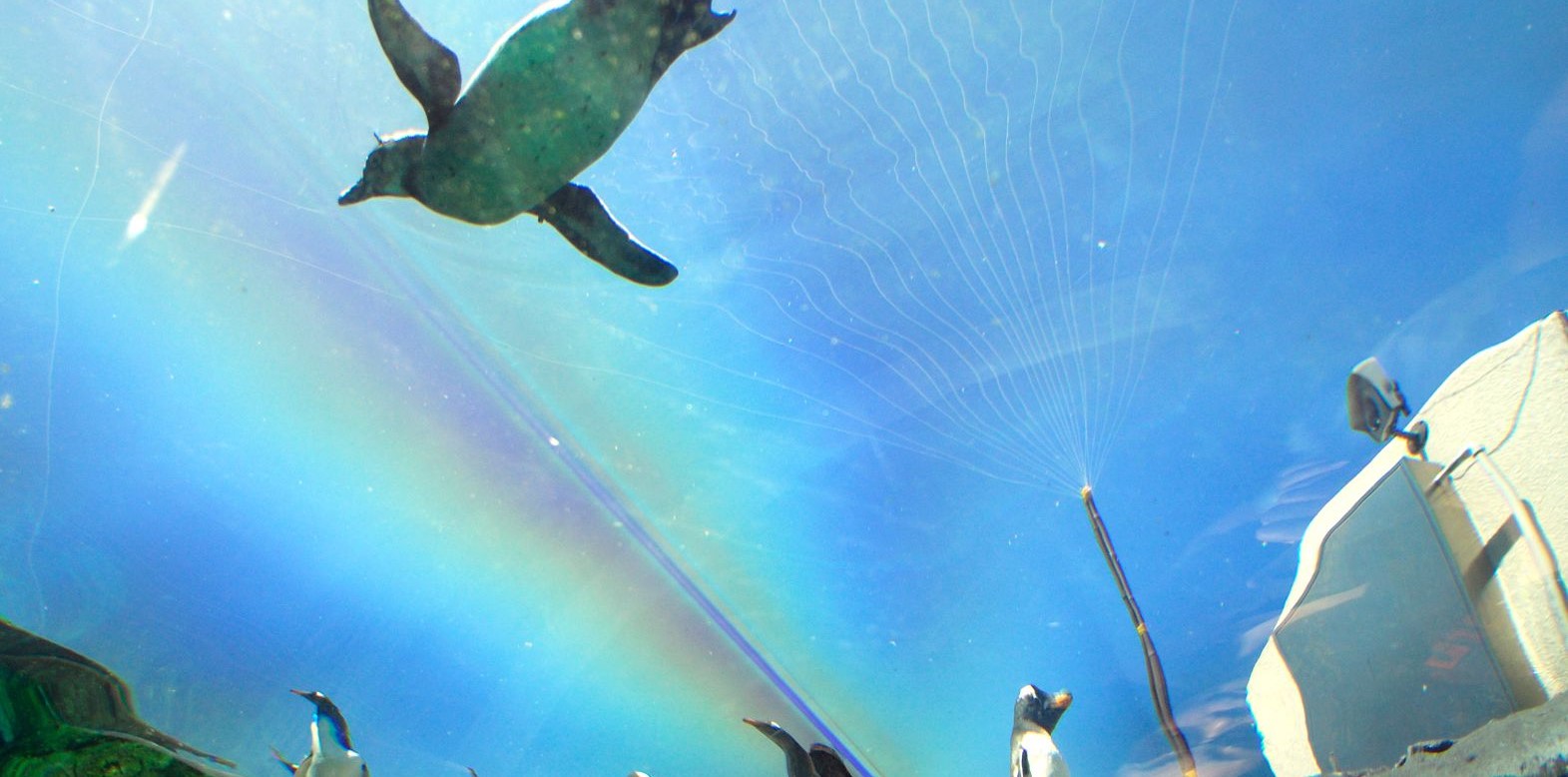 旭山動物園